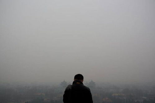 关于你的记忆都起雾（84集）