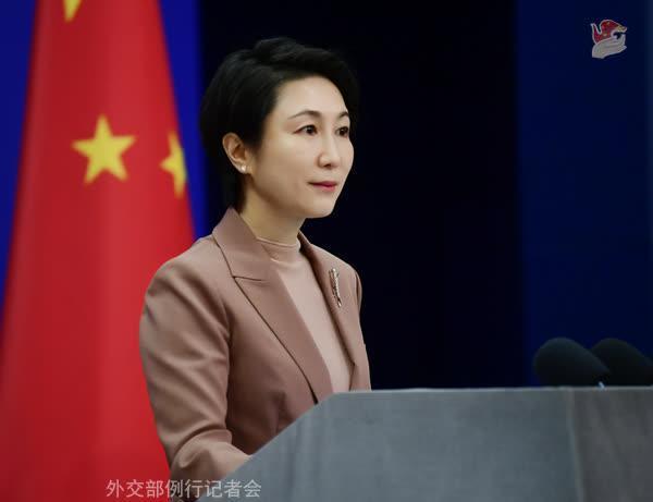 毛宁履新外交部新闻司司长，展现中国外交新气象