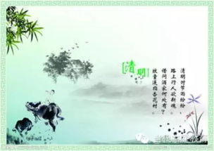 与君青丝共白首，一场跨越时空的情感之旅（34集剧情解析与感悟）