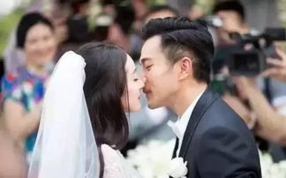 老公的秘密（集萃版），深度探索婚姻中的未知领域