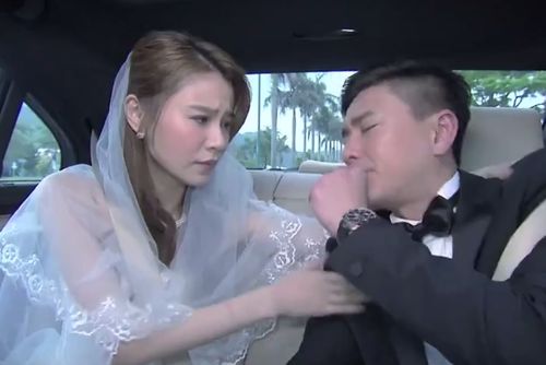 离婚后渣男前夫跪求复合（81集）