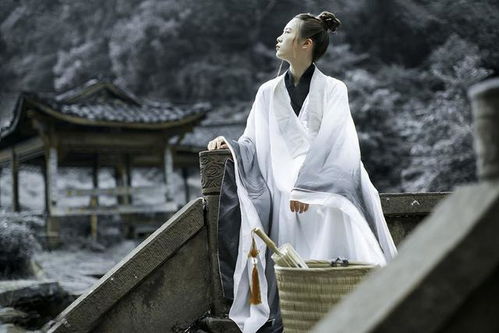 天医少主宠妻忙（100集），甜蜜爱情与医术无双的传世佳话