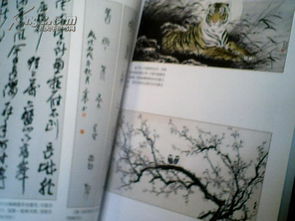 当年明月何时归（70集）