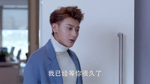 傲娇总裁每天都在争风吃醋（81集连续剧式剧情概述）