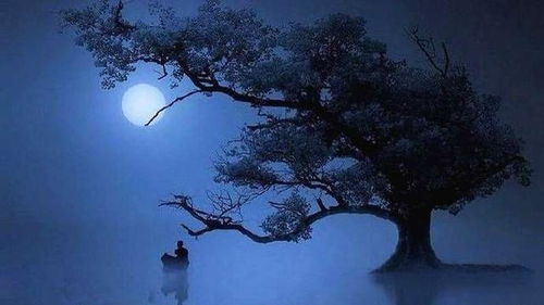 渔火照江眠，一曲描绘人性与命运的壮丽史诗（70集深度解析）