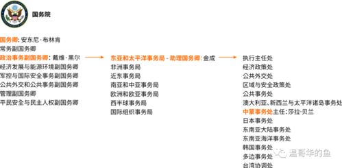 拜登政府考虑让TikTok在美继续运营，权衡与挑战分析