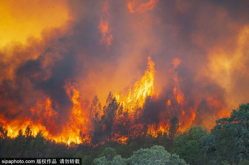 加州山火烧到海岸线，近水为何不解近渴？