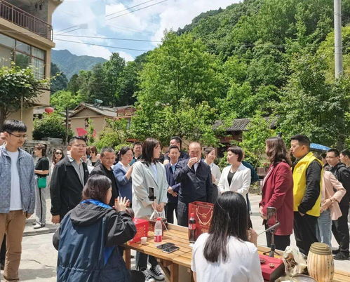 杨子，家都没了，直播卖货成新家园