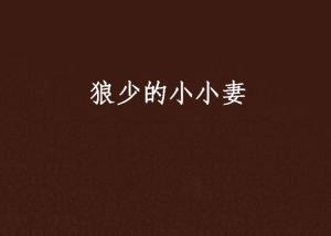 我的狼少顾先生（60集）剧情解析与感悟