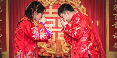 弃婚当日，我被首富千金逼婚