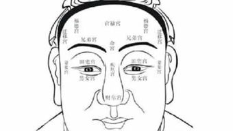 风流神相，探寻神秘面相之魅力与传奇