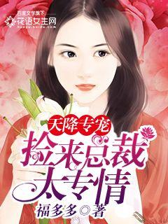 天降总裁老公合集，都市爱情的新篇章