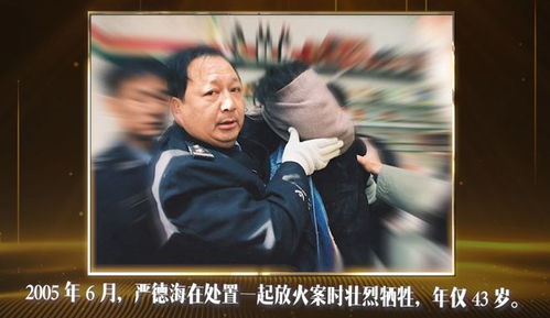 梦境中的你（第95集）
