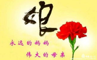 妈妈为凤，母爱如歌，岁月如织