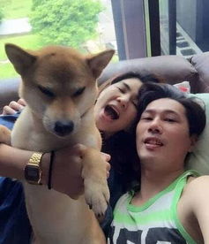 她的小狼狗