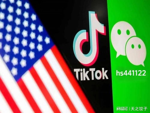 拜登政府决定不执行TikTok禁令，开放、合作与数字时代的多元发展