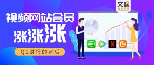 美国网友制定中国社交媒体规矩，跨文化交流的深度探索