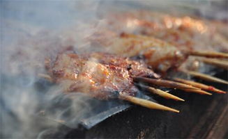 烤串老爸竟是镇国战神