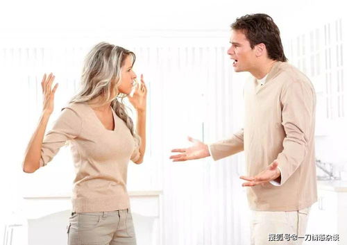 离婚后，我给老婆送飞机（90集）