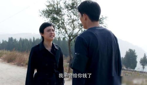 前妻撩人傅先生宠不停，一场深情与纠葛的100集情感之旅