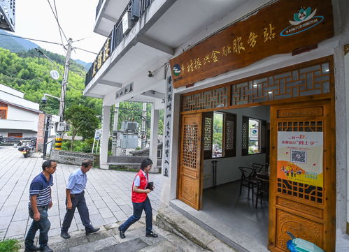 厂妹别想逃，西莞厂区的独特魅力与挑战