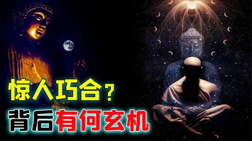 重返地球，圣人身份泄露的启示（第91集剧情解析）