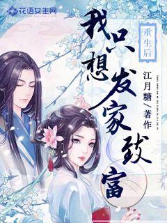 神婿医仙，传奇人生中的医术与爱情