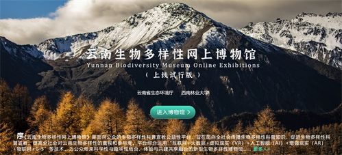 蜕变，一场跨越时空的心灵之旅（50集）