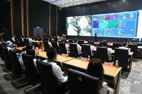 五年后，她与崽崽强势回归——闪耀百炼之路