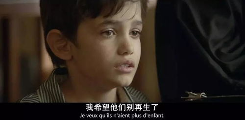 我的长姐，何以为家（67集）