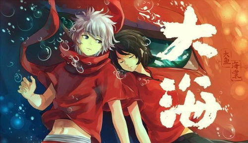 双子星黑白切，命运交织的82集传奇