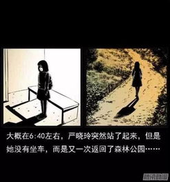 民间诡闻实录，迷雾中的真相探寻（第X集至第二十六集）