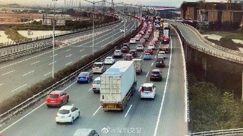 高速拥堵20公里，一场意外的遛狗之旅
