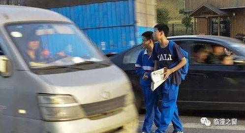 等红绿灯间隙，妈妈下车教训娃的背后深意