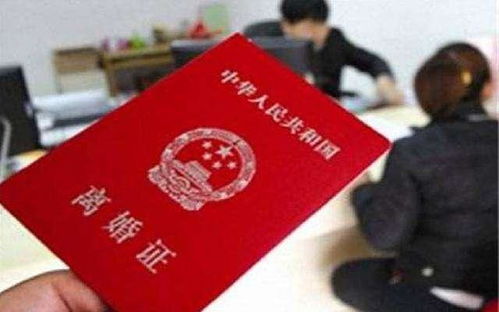 离婚当天，千亿总裁带我去领证（90集）