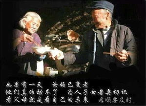 重返1994，我为母亲逆天改命之旅（共72集）