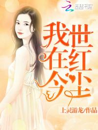 神医王妃惹不起，权力与爱情的交织（100集深度解析）
