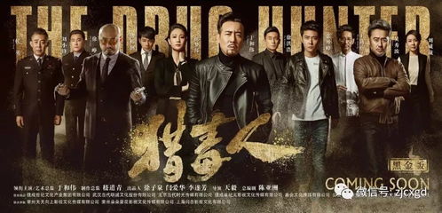 跨国追杀，一场跨越界限的正义之战（71集剧情解析）