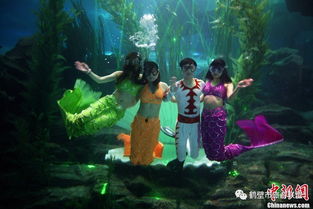 美人鱼之吻，深海奇幻的浪漫旅程（85集）