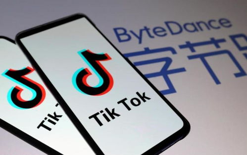外交部回应TikTok恢复在美服务，跨文化交流的积极信号