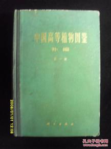 手机国补第一单当事人，深度研究背后的故事