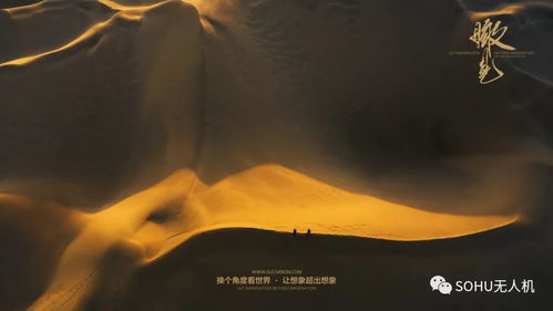 偏爱藏不住，一场情感的深度探索（78集剧情解析）