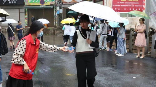 金榜题名之奶奶爱你（第33集）