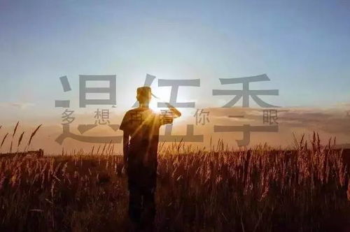 爸爸，我多想再看你一眼（73集）