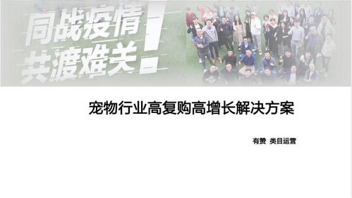 职场逍遥王，职场生存的智慧与策略（80集剧情解析）