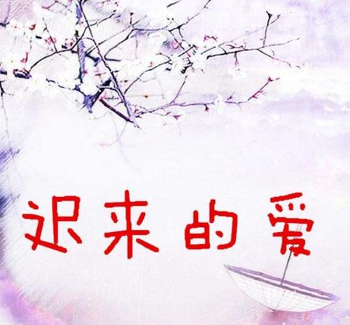 我最亲爱的，迟来的爱