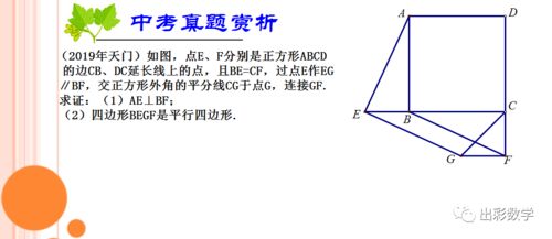 探究第71集，深度解析与多维视角