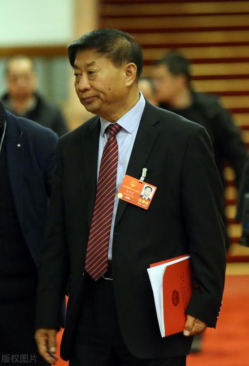 我家萌宝竟是全球首富（67集）