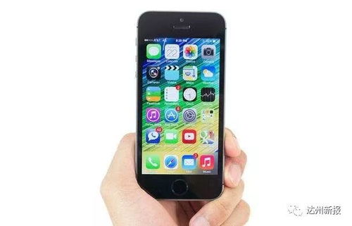 全球消费者见证，国补后的苹果iPhone 16成为全球最低价智能手机