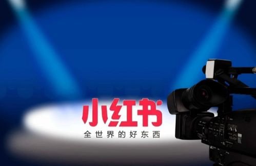 国企人事总监操纵父母吃空饷八年，罪与罚的反思
